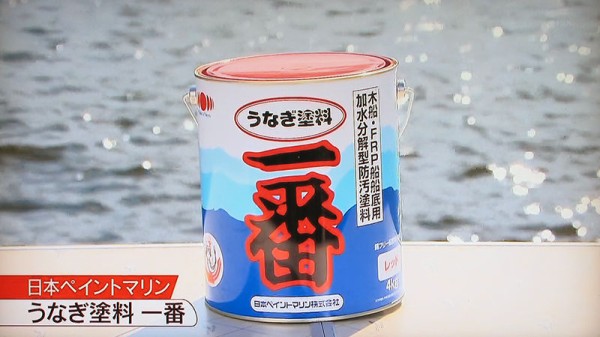 一年経過写真 船底塗料 20k 残りわずか5 うなぎよりも （一年