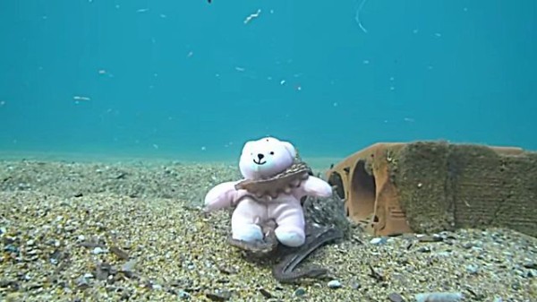 なにこれカワイイ で これって美味しいの 海の底でクマのぬいぐるみを愛すタコ マランダー