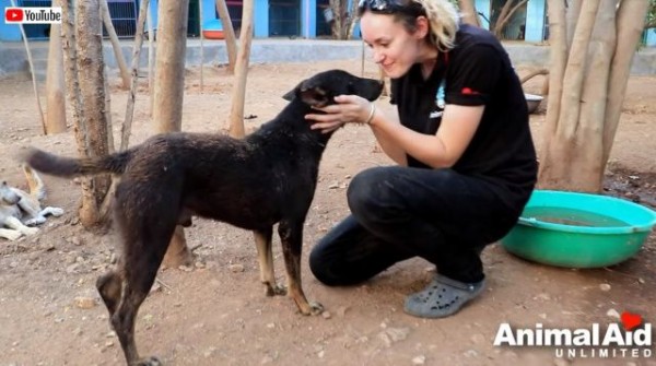 Animal Aid 誰がこんなひどいことを 足を紐できつく縛られていた犬が発見された マランダー