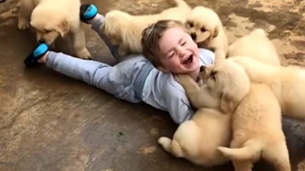 ああもう いっしょになってまみれたい 子犬と子供 これ以上の最強タッグマッチがあるだろうか マランダー