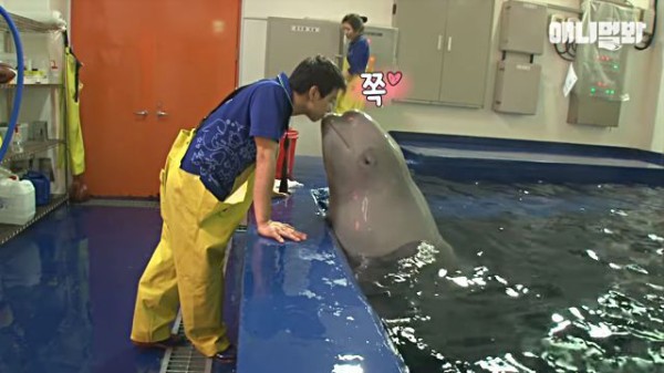 寄らないで 彼はアタシだけのモノよ イケメン飼育員さんに恋したベルーガ嬢 マランダー