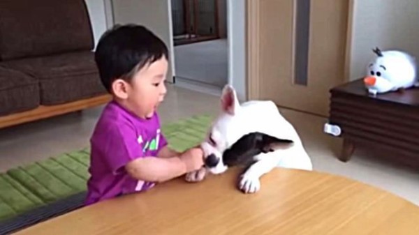 だってもう食べちゃったもんね 赤ちゃんのおやつを横取りした犬 赤ちゃんといっしょに泣く マランダー