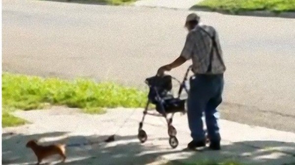 心がホカホカする おじいさんと愛犬の日課の散歩 マランダー