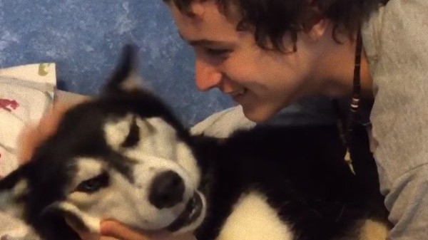 キスされると凶悪面になっちゃうシベリアン ハスキーを猫かわいがりする飼い主のエンドレスいちゃいちゃ マランダー