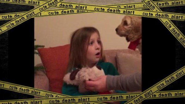 サンタさんにお願いです 大好きなぬいぐるみを本物の犬にしてください クリスマス それは少女の願いが叶うとき マランダー