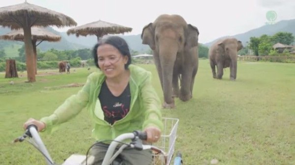 だって大好きなんだもの 自転車に乗る飼育員さんを追いかけるゾウ マランダー