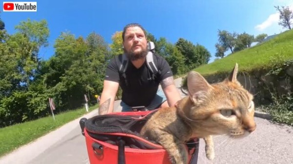 新たな旅立ちももうすぐ 自転車で猫と旅するヒゲメン オーストリアでのサイクリングを満喫する マランダー