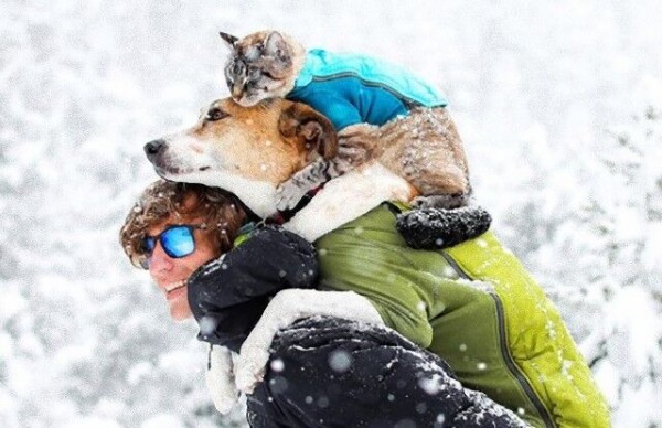 猫と犬と飼い主と 風の向くまま気の向くままに旅するファミリーの写真集 マランダー