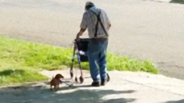 心がホカホカする おじいさんと愛犬の日課の散歩 マランダー