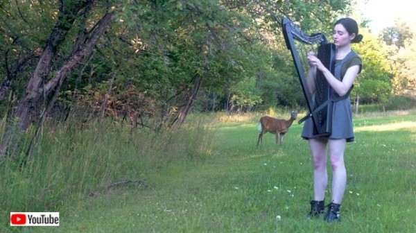 コレいったい何てディズニー映画 女性が演奏するハープを聴きに森から小鹿がやって来た マランダー