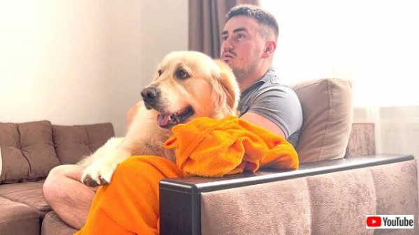 愛犬に お願いだからそばにいて ゴールデンといっしょにホラー映画を鑑賞してみた マランダー