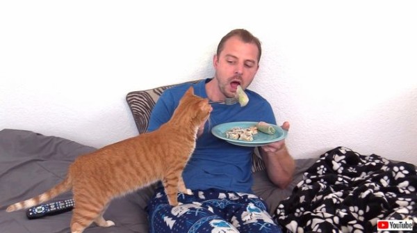 何食べてるニャ 少しくれニャ クリスさん 猫たちの前で寿司を食す マランダー