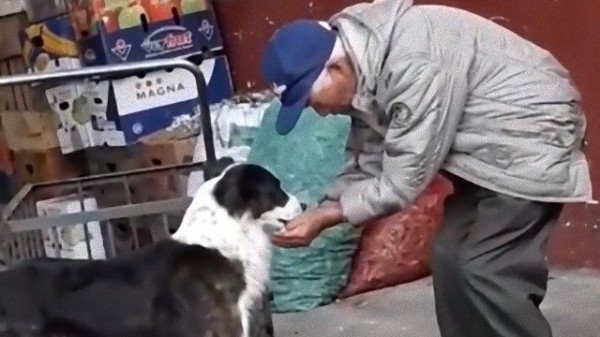 水道から水を手ですくい 犬に飲ませてあげるおじいさんの様子にみんなほっこり マランダー