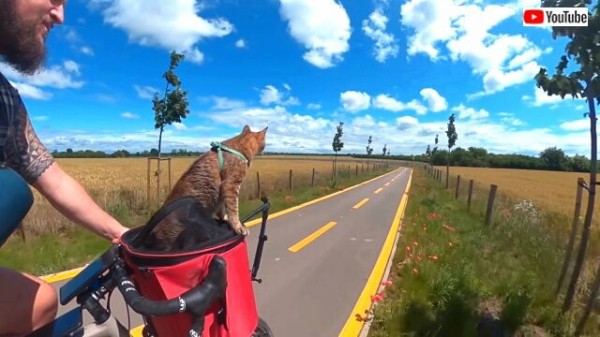 猫とヒゲメン 自転車に乗ってどこまでも 風を切って一緒に行こう 猫を連れて世界を旅するサイクリスト マランダー