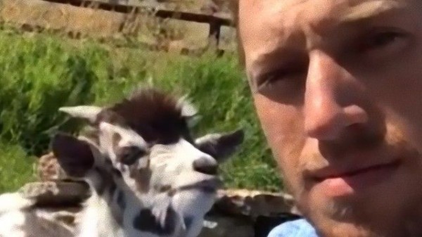 会話が成り立っている お話する子ヤギと男性に対する海外の反応 マランダー