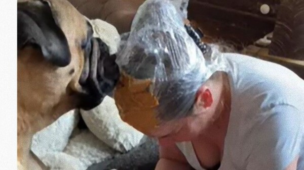 愛犬の爪切りのために頭にピーナッツバター おかしくなったわけじゃないです 犬のためです マランダー