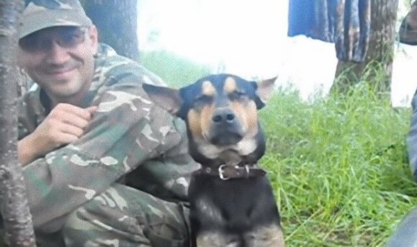 軍用犬だってうたた寝しますから ジャーマンシェパードの見せたウトウトこくり マランダー