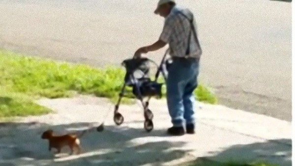 心がホカホカする おじいさんと愛犬の日課の散歩 マランダー