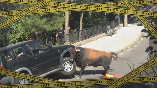 ウシだって負けてない スペインの祭りで牛が自動車破壊 底力を発揮した模様 マランダー