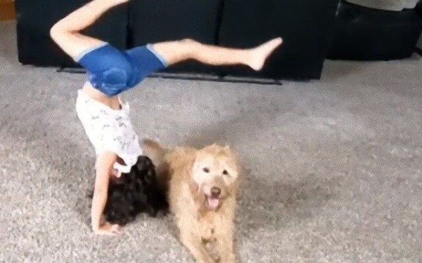 犬と少女のダンシング ナイスなコンビに驚くこと間違いなし マランダー