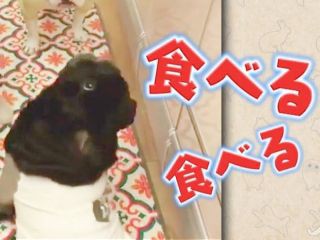 食べるぅ Byみきお Itoitoな毎日