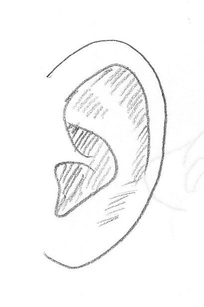 耳を線画としてどう描けばいいのか考えてみた アニメができたらいいなと妄想しているブログ