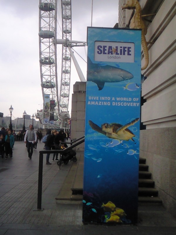 ﾛﾝﾄﾞﾝ水族館 London Aquarium 行き方 景色 ﾛﾝﾄﾞﾝ 穴場 ﾀﾀﾞｶﾞｲﾄﾞ写真編 London Photo Guide Blog Nemi