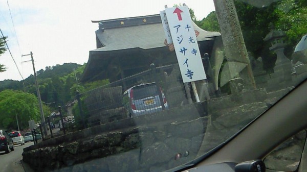 あじさい寺の千光寺 福岡県久留米市 Mariの写真日記photo Diary