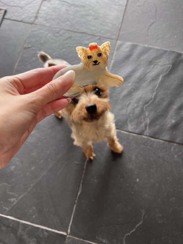 フランスからやって来た❤︎かわいいヘアクリップ🐕🇫🇷 : 品よく