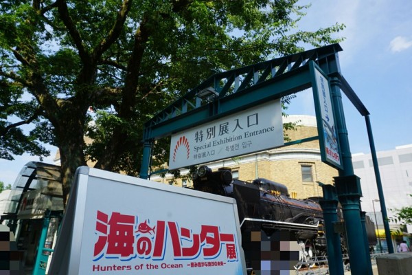 上野 海のハンター展 国立科学博物館にて16年7月8日から10月2日まで開催 東京食べ歩きブログ明日どこに行こう