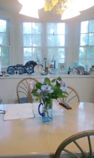 額紫陽花 ガクアジサイ の色鉛筆画を描いています 旅する惑星