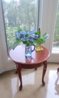 額紫陽花 ガクアジサイ の色鉛筆画を描いています 旅する惑星