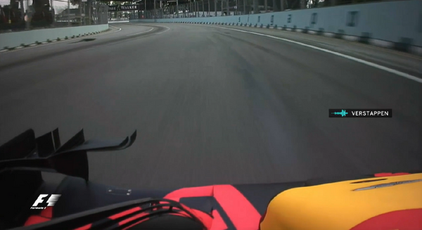 F1シンガポールgp動画 大きなトカゲがトラックを横切る 写真13枚 F1通信