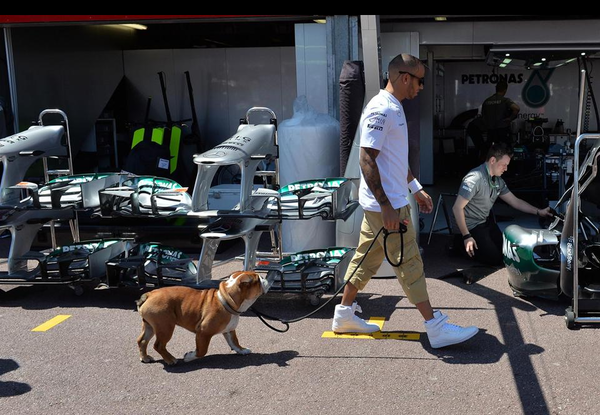 F1ドライバーと愛犬のツーショット写真集 1 F1通信