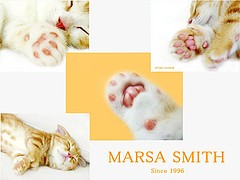 可愛い子猫の壁紙 マーサスミスの可愛い仔猫