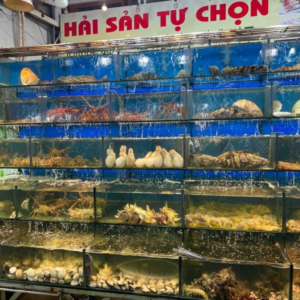 南ベトナム採集紀行 ベトナム紀行1-南ベトナム採集記2004年・2005年-(山田成明) / 南陽堂