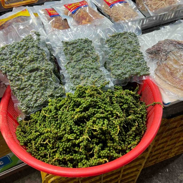 南ベトナム採集紀行 Amazon.co.jp: ハノイから行ける ベトナム北部の