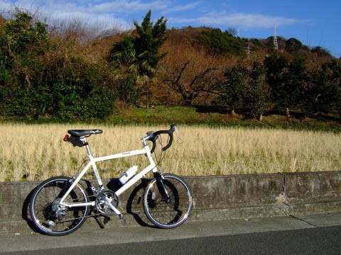 あれ、あれあれ～(笑) ・追記 : 中年martyの自転車日記