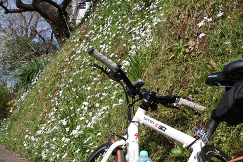 クランク周りからの異音 中年martyの自転車日記