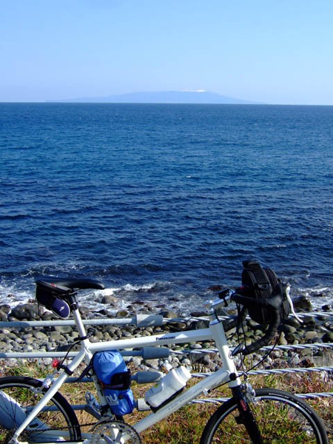 小田原～伊豆下田104km : 中年martyの自転車日記