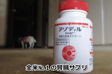 アゾディル 犬猫の腎臓病用サプリメント アゾディル | 獣医さんのサプリ屋 さん