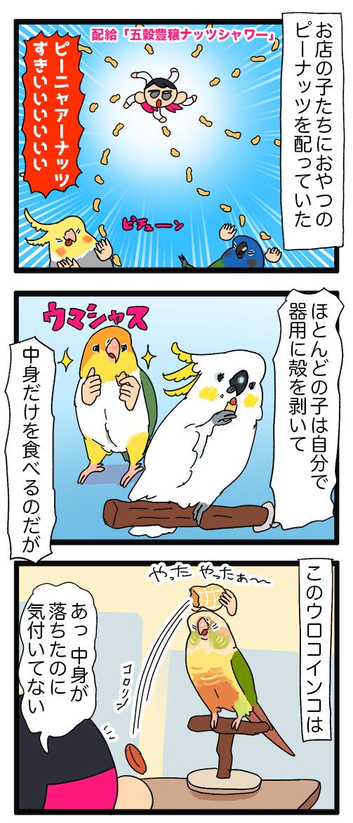 Oqppjrchgepe6m Oqppjrchgepe6m