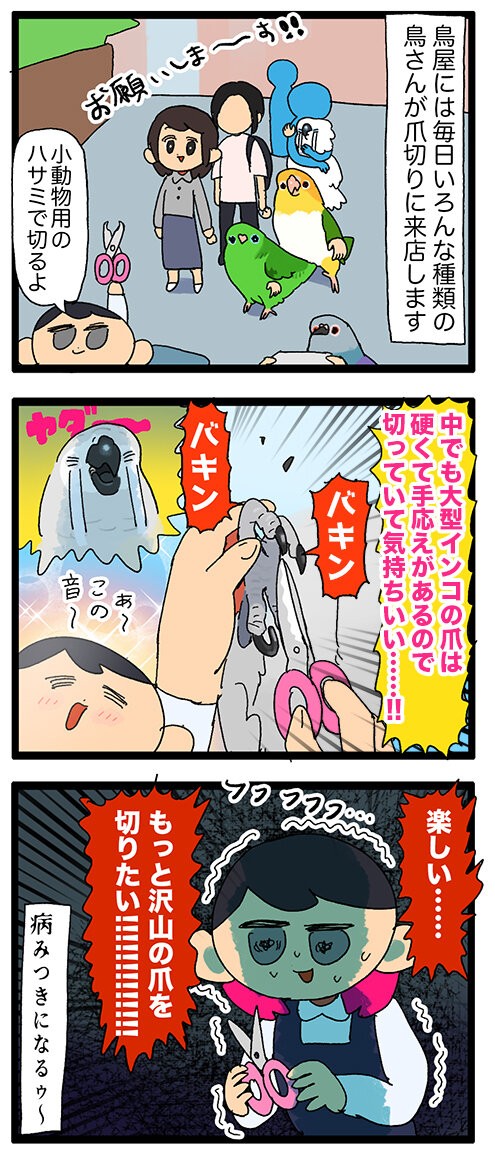 ちいこきあんよ】インコの爪切りの時に店員が不安になる瞬間
