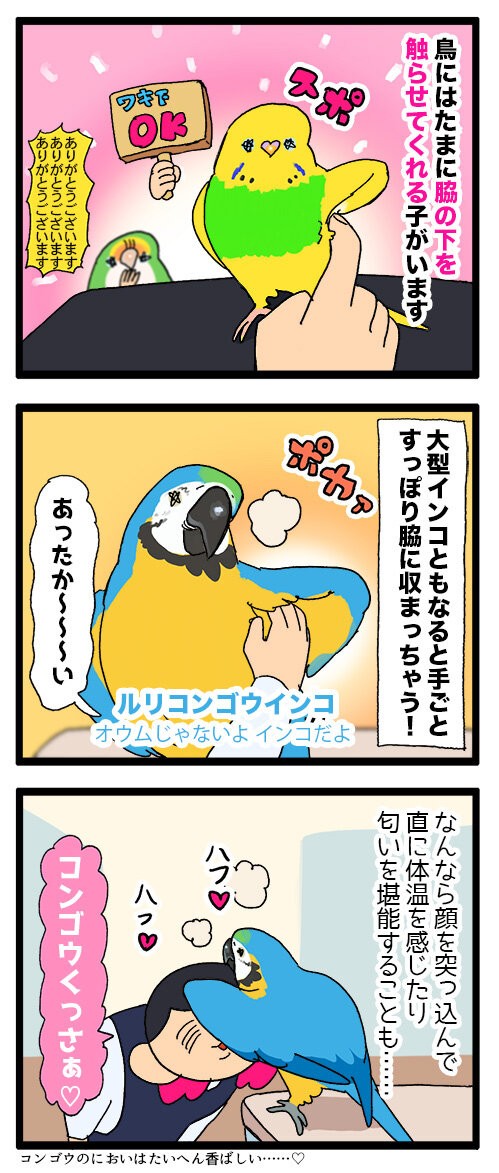 ハンドメイド　インコおもちゃ　オーダーページ　2025.04.27更新 ハンドメイドインコおもちゃオーダーページ2025.04.27更新