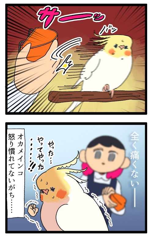 獰猛な番人 オカメインコ : えるポピ・ハッピーオタクライフ Powered
