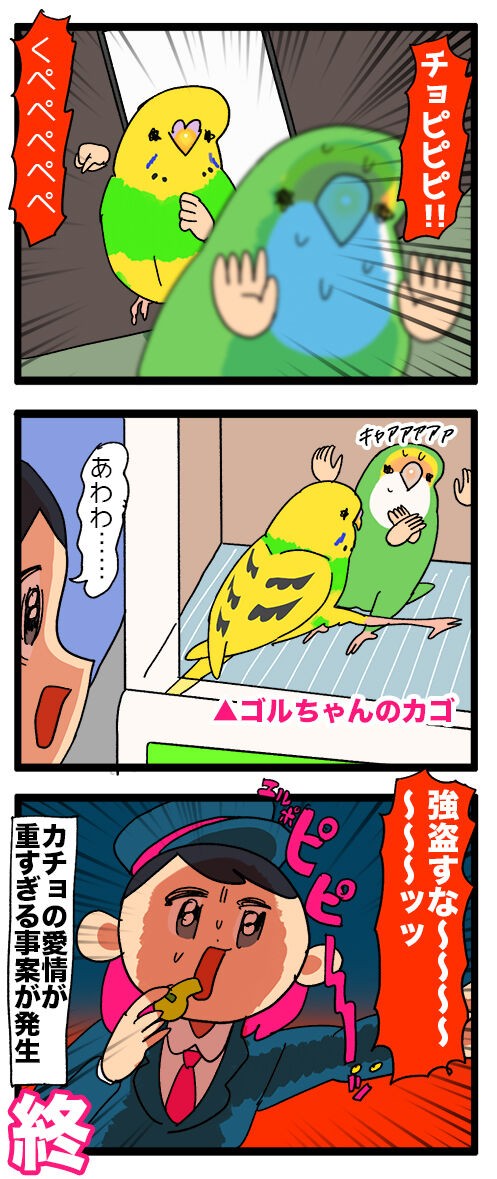 ゴル、カチョの若い勢いに勝てない━━ : えるポピ・ハッピーオタク 