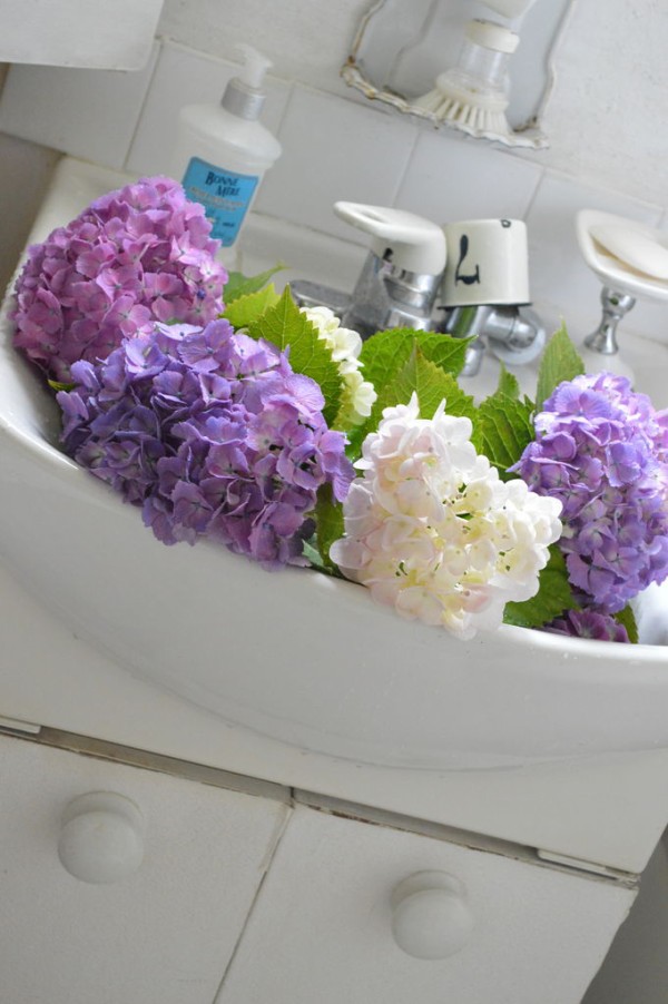 色とりどりの紫陽花 神戸のマリー アトリエ ドｳ フォレ シェ ダンテル