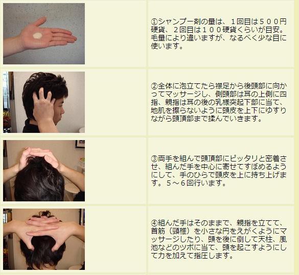 ｔｖで話題の神様シャンプー 薄毛 対策 口コミ 掲示板 管理人のブログ