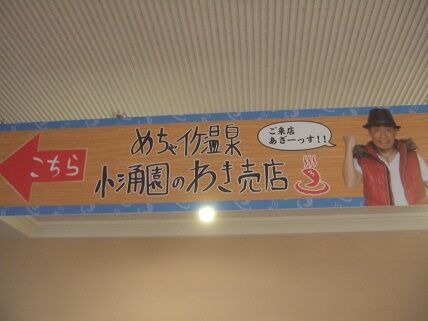 めちゃイケ桶 : 新潟発・B級温泉紀行