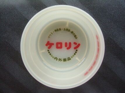 白いケロリン桶（関東型）・神圣痛バージョン : 新潟発・B級温泉紀行